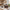 Kitchen Bottles Bundle